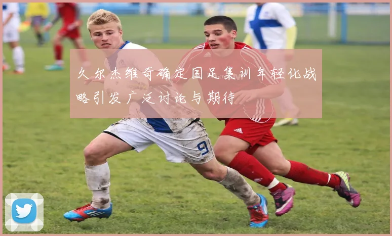 久尔杰维奇确定国足集训年轻化战略引发广泛讨论与期待